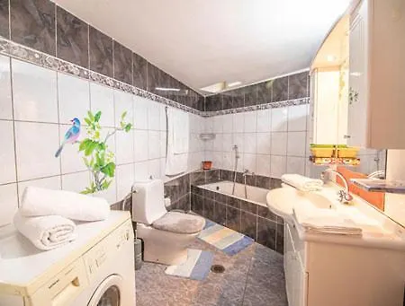 Traditional Family Idi Apartment *